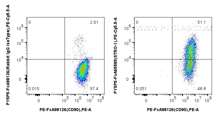 FC experiment of Human Bone marrow mesenchymal stromal cells using PY5P5-FcA65585