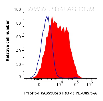 FC experiment of Human Bone marrow mesenchymal stromal cells using PY5P5-FcA65585