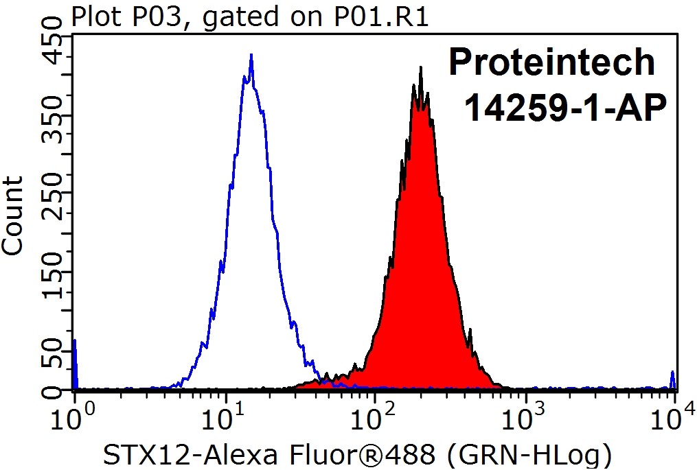Syntaxin 12