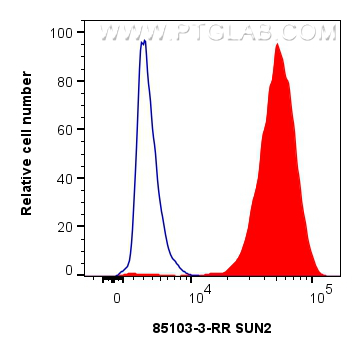 FC experiment of HeLa using 85103-3-RR (same clone as 85103-3-PBS)