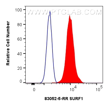 FC experiment of HepG2 using 83052-5-RR (same clone as 83052-5-PBS)