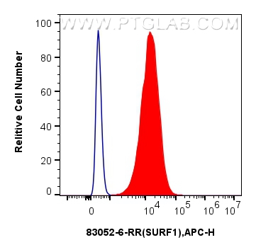 FC experiment of HepG2 using 83052-6-RR (same clone as 83052-6-PBS)