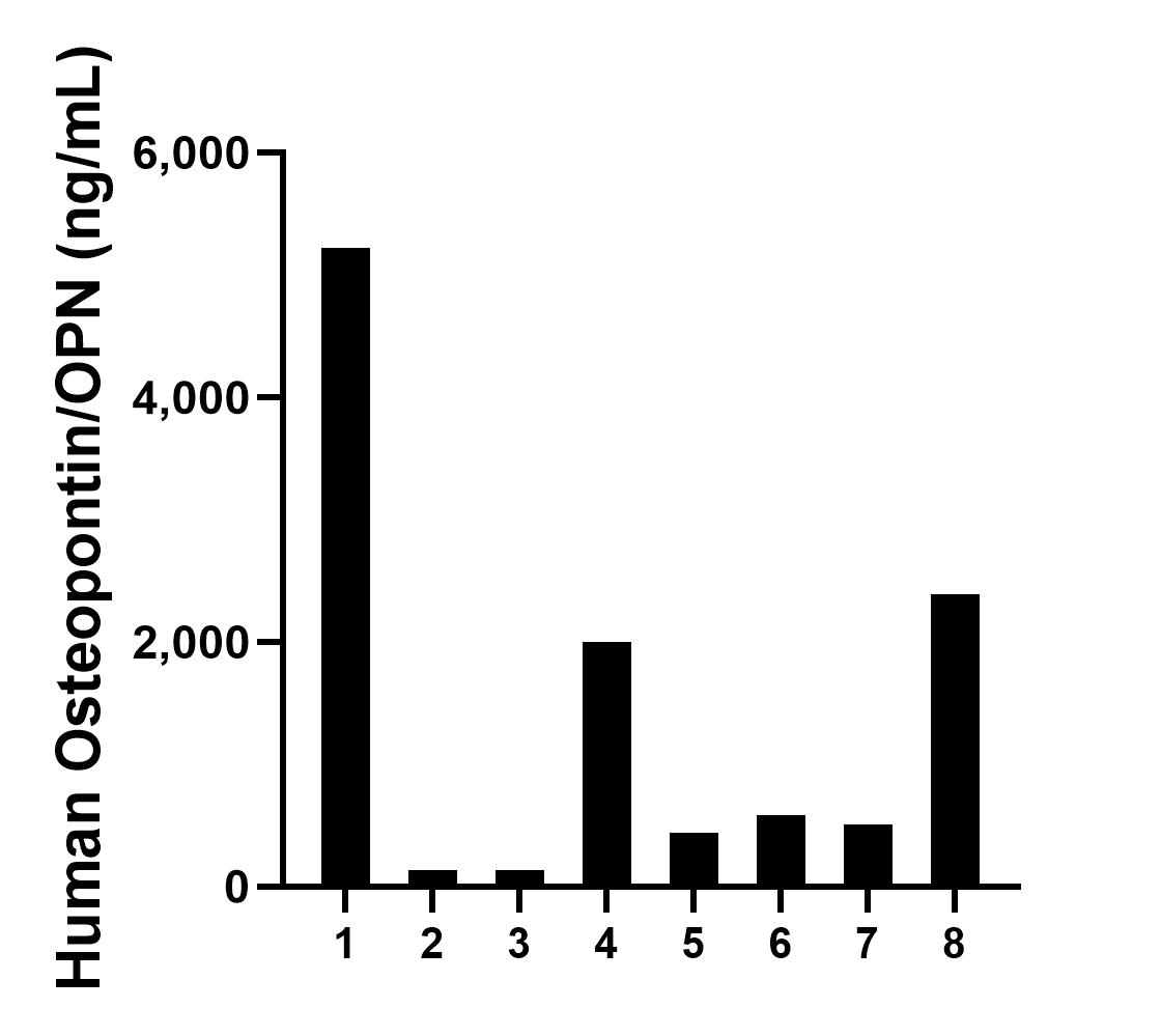 Osteopontin Recombinant Matched Antibody Pair, PBS Only antibody ...