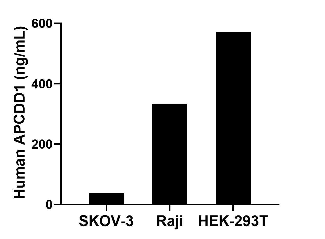 The mean APCDD1 concentration was determined to be 39.03 ng/mL in SKOV-3 cell extract based on a 4.20 mg/mL extract load, 333.27 ng/mL in Raji cell extract based on a 3.00 mg/mL extract load and 570.52 ng/mL in HEK-293T cell extract based on a 2.60 mg/mL extract load.