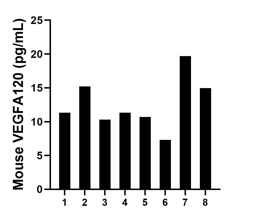 Serum of eight mice was measured. The mouse VEGF concentration of detected samples was determined to be 12.6 pg/mL with a range of 7.3 - 19.7 pg/mL.