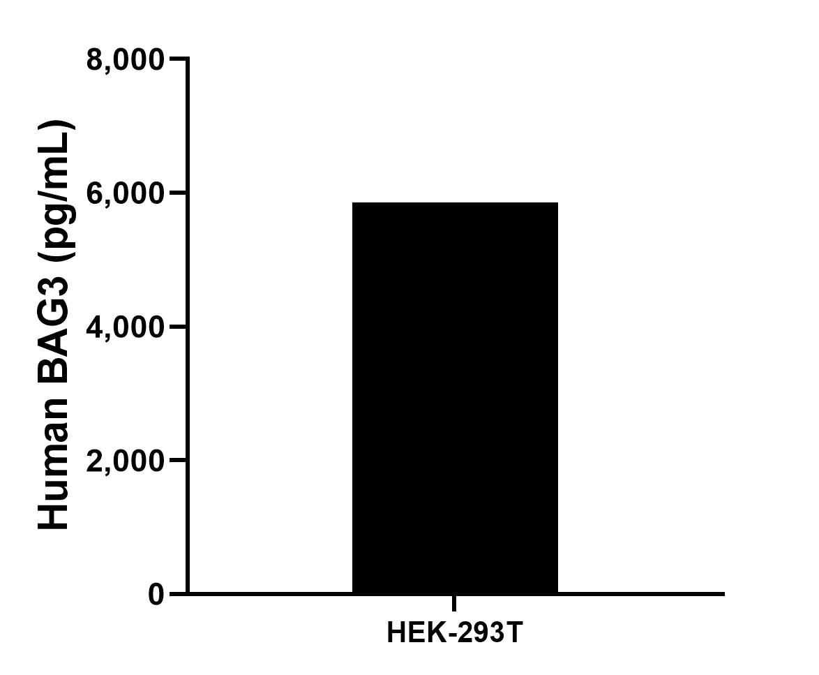 The mean BAG3 concentration was determined to be 5,853.6 /mL in HEK-293T cell extract based on a 1.4 mg/mL extract load.