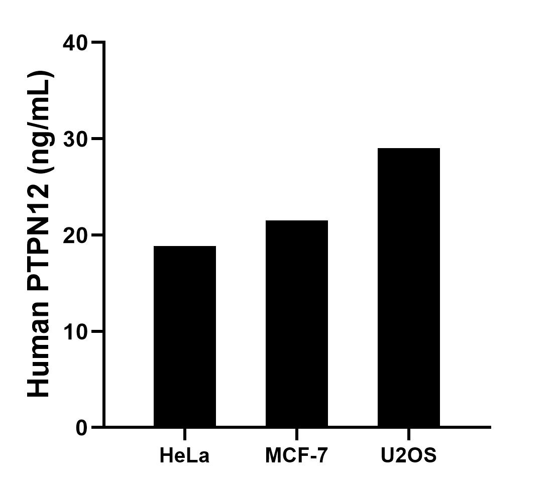 The mean PTPN12 concentration was determined to be 18.88 ng/mL in HeLa cell extract based on a 1.2 mg/mL extract load, 21.55 ng/mL in MCF-7 cell extract based on a 1.2 mg/mL extract load and 29.01 ng/mL in U2OS cell extract based on a 1.3 mg/mL extract load. Sample test of MP00788-4