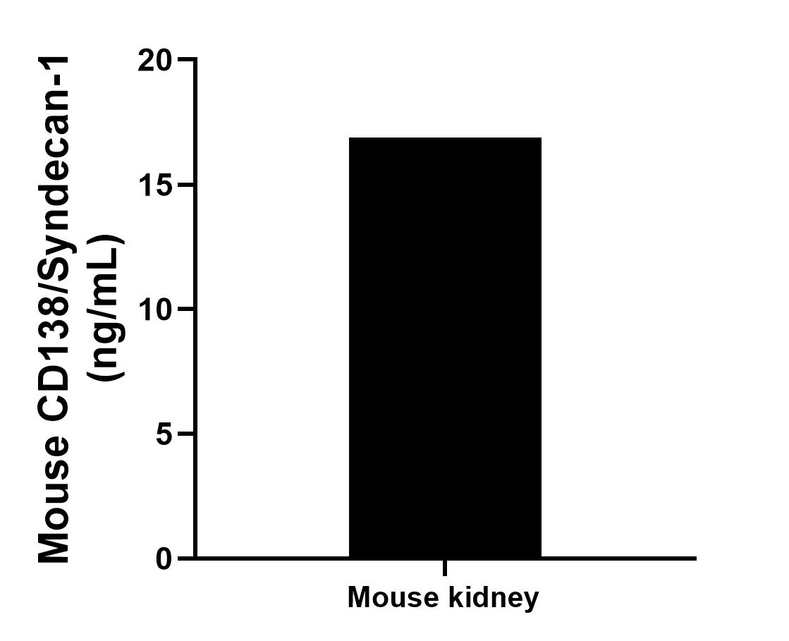 The mean CD138/Syndecan-1 concentration was determined to be 16.88 ng/mL in mouse kidney tissue extract based on a 3.10 mg/mL extract load.