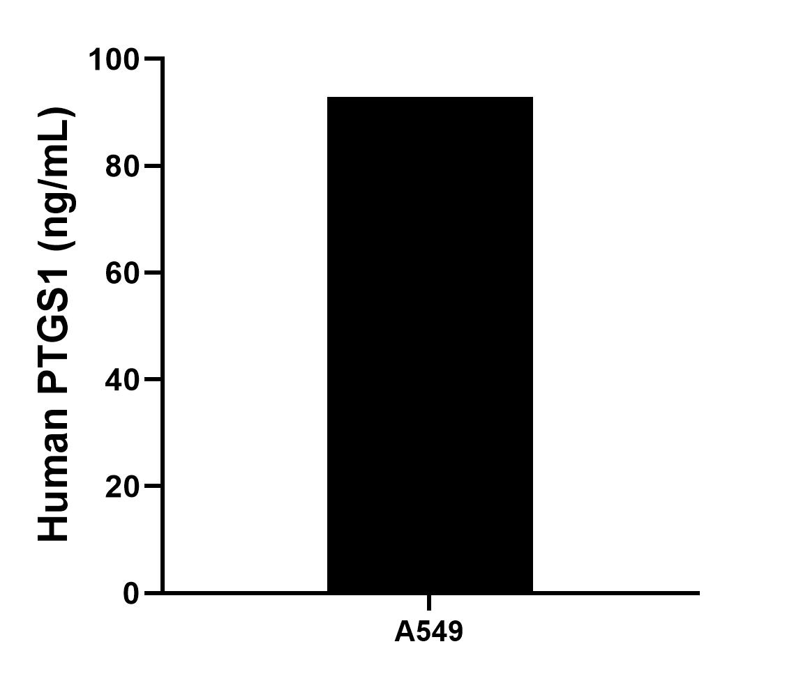 The mean COX-1/Cyclooxygenase-1 concentration was determined to be 92.92 ng/mL in A549 cell extract based on a 2.5 mg/mL extract load.