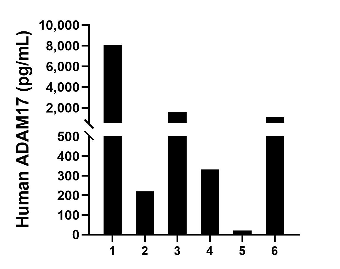 Serum of six individual healthy human donors was measured. The human ADAM17 concentration of detected samples was determined to be 1,898.9 pg/mL with a range of 21.5 - 8,096.2 ng/mL.