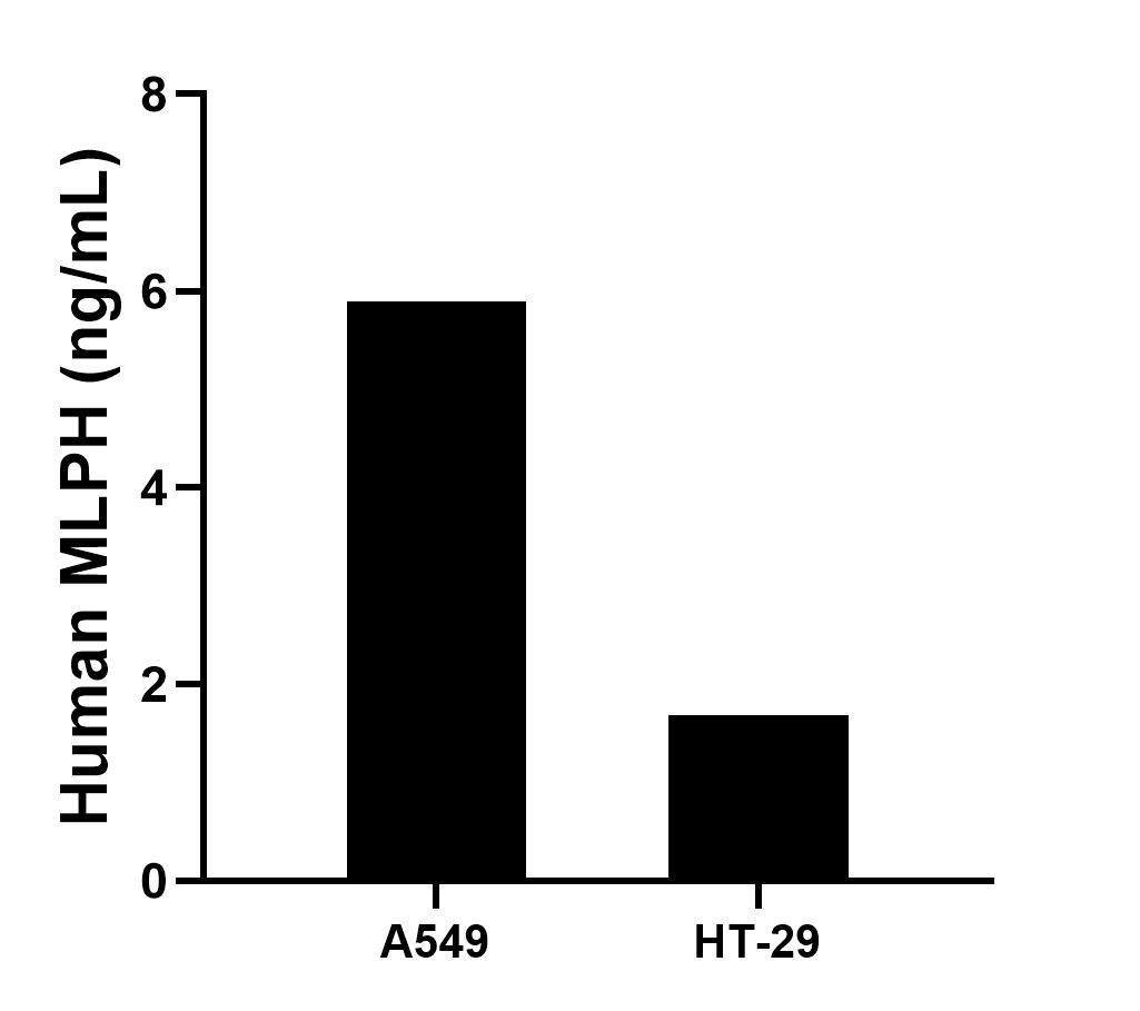 The mean MLPH concentration was determined to be 5.9 ng/mL in A549 cell extract based on a 1.5 mg/mL extract load and 1.7 ng/mL in HT-29 cell extract based on a 1.5 mg/mL extract load. 