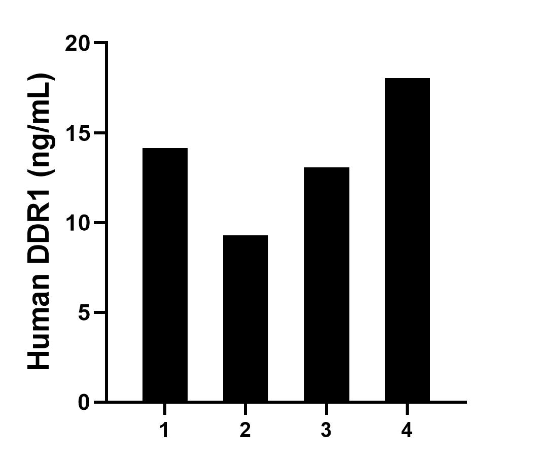 Serum of four individual healthy human donors was measured. The human DDR1 concentration of detected samples was determined to be 13.63 ng/mL with a range of 9.29 - 18.03 ng/mL.	