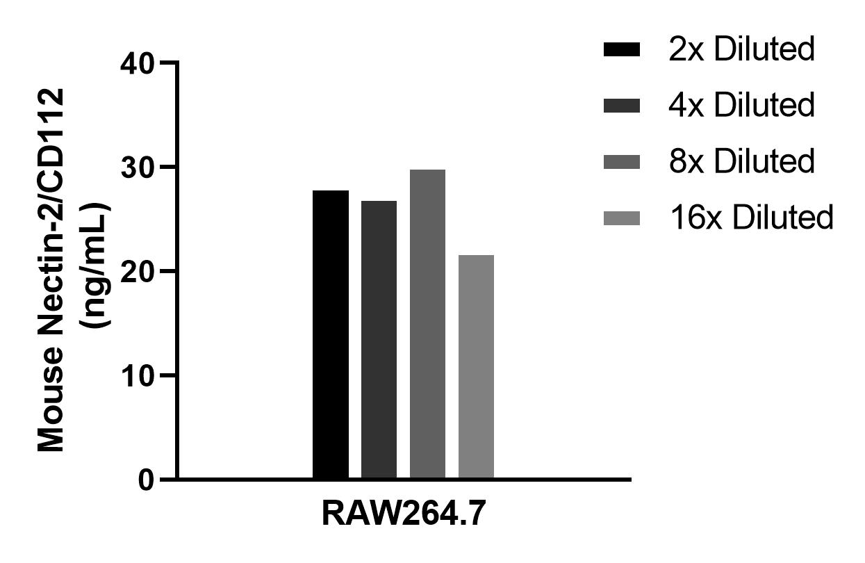 The mean Nectin-2/CD112 concentration was determined to be 26.8 ng/mL in RAW264.7 cell extract based on a 1.5 mg/mL extract load. The mean Nectin-2/CD112 concentration was determined to be 26.8 ng/mL in RAW264.7 cell extract based on a 1.5 mg/mL extract load.