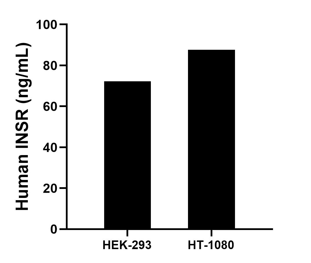 The mean INSR concentration was determined to be 72.33 ng/mL in HEK-293 cell extract based on a 1.50 mg/mL extract load and 87.72 ng/mL in HT-1080 cell extract based on a 2.50 mg/mL extract load. 