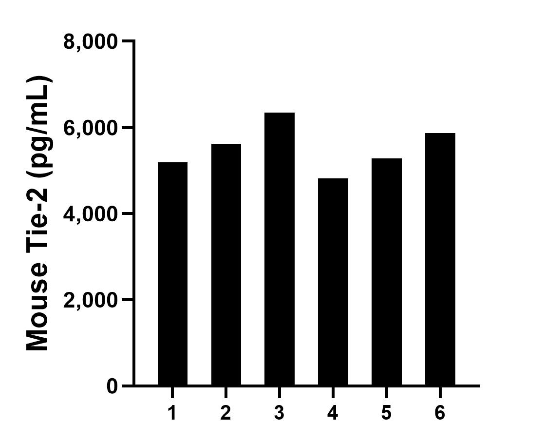 Serum of six mice was measured. The Tie-2 concentration of detected samples was determined to be 5520.9 pg/mL with a range of 4813.2-6347.4 pg/mL. Sample test of MP01351-2