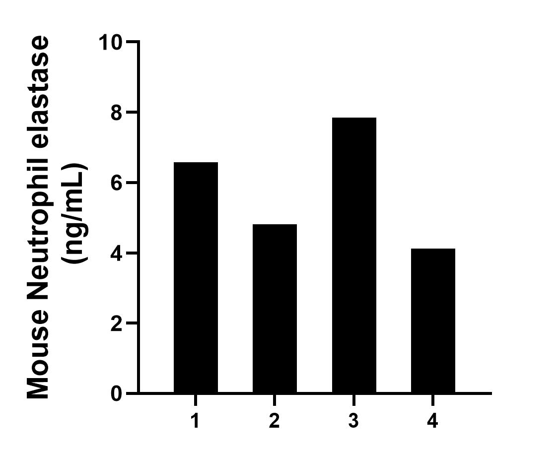 Serum of four mice was measured. The mouse Neutrophil elastase concentration of detected samples was determined to be 5.84 ng/mL with a range of 4.12 - 7.85 ng/mL.