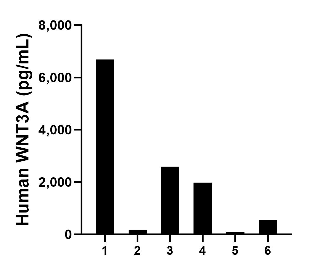 Serum of six individual healthy human donors was measured. The WNT3A concentration of detected samples was determined to be 2,012.8 pg/mL with a range of 101.5-6,680.8 pg/mL.	