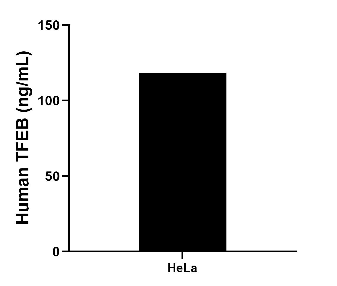 Sample test of MP01491-2