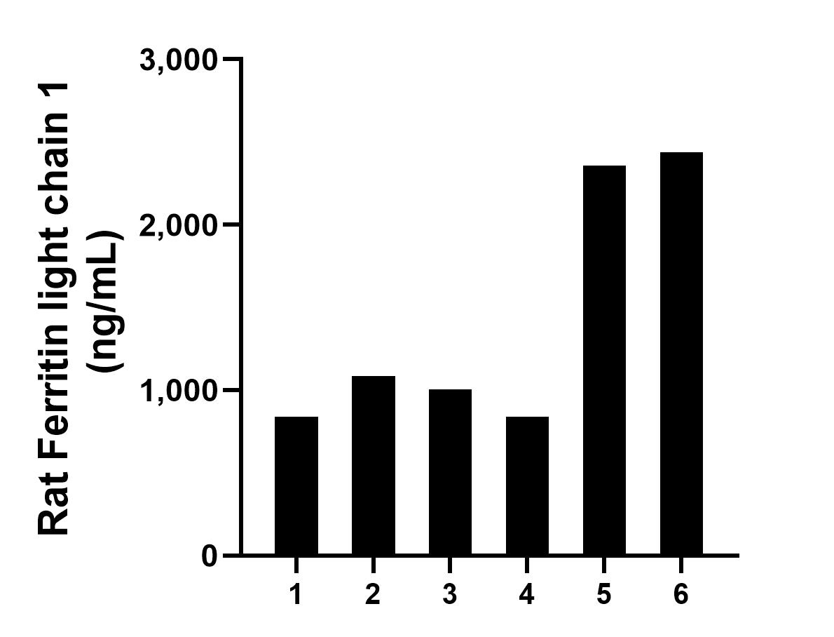 Serum of six rats was measured. The rat Ferritin light chain 1 concentration of detected samples was determined to be 1,427.81 ng/mL with a range of 838.87 - 2,438.35 ng/mL.