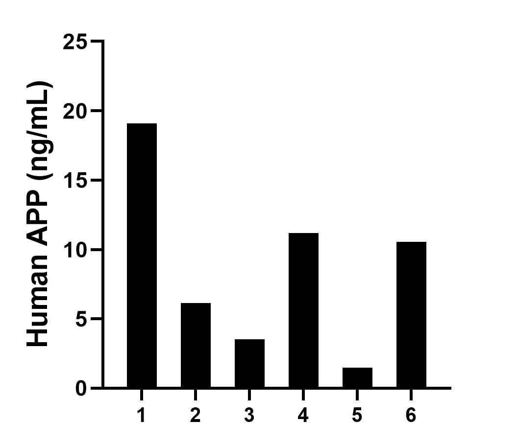 Serum of six individual healthy human donors was measured. The human APP
 concentration of detected samples was determined to be 8.66 ng/mL with a range of 1.49 - 19.08 ng/mL.