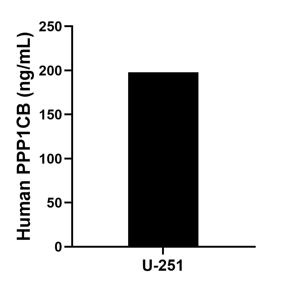 Sample test of MP01723-2