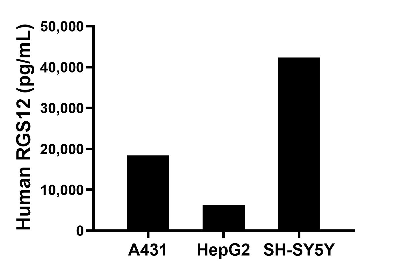 The mean RGS12 concentration was determined to be 18,450.2 pg/mL in A431 cell extract based on a 1.3 mg/mL extract load, 6,327.2 pg/mL in HepG2 cell extract based on a 1.0 mg/mL extract load and 42,390.5 pg/mL in SH-SY5Y cell extract based on a 3.2 mg/mL extract load.