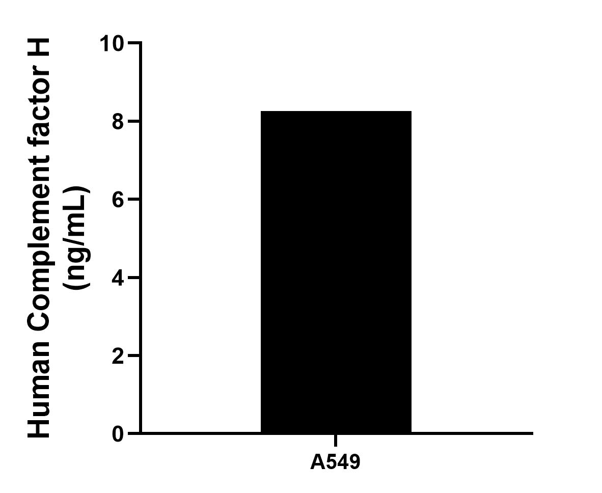 A549 human lung carcinoma cells were cultured in RPMI-1640 supplemented with 10% fetal bovine serum, 100 U/mL penicillin and 100 μg/mL streptomycin sulfate. An aliquot of the culture supernates were removed, assayed for human Complement factor H, and measured 8.26 ng/mL.