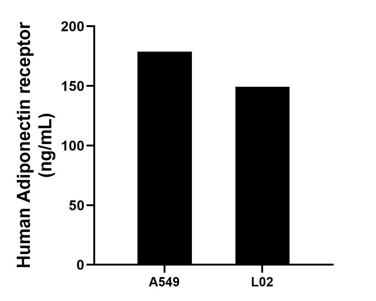 ADIPOR2 Antibody Sample test Standard 85121-2-PBS