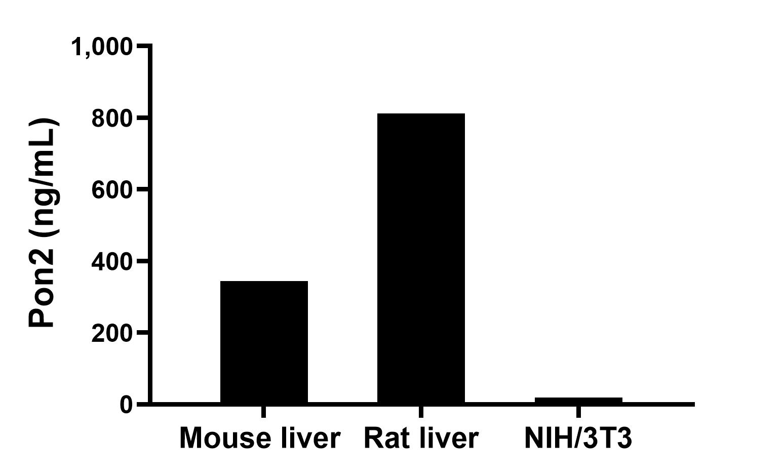 The mean Pon2 concentration was determined to be 344.03 ng/mL in mouse liver tissue extract based on a 3.70 mg/mL extract load, 812.45 ng/mL in rat liver tissue extract based on a 2.60 mg/mL extract load and 19.36 ng/mL in NIH/3T3 cell extract based on a 1.50 mg/mL extract load.