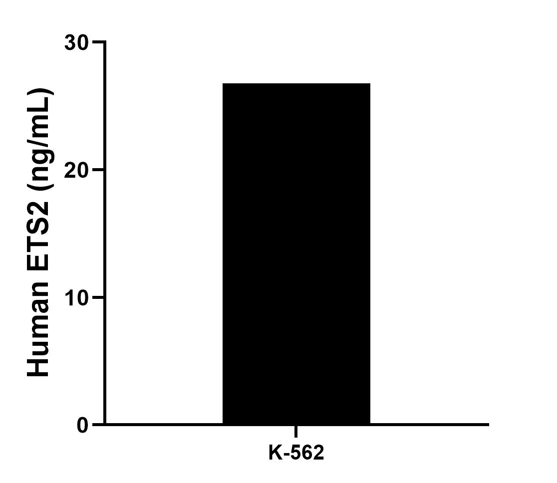 The mean ETS2 concentration was determined to be 26.79 ng/mL in K-562 cell extract based on a 2.0 mg/mL extract load.