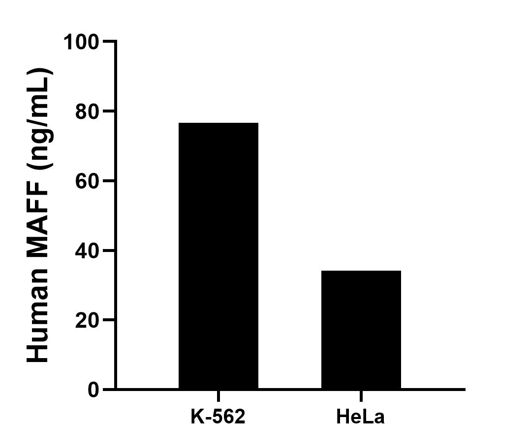 Sample test of MP01898-1