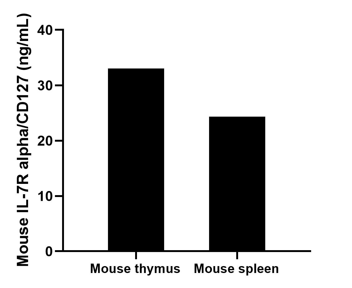 The mean IL-7R alpha/CD127 concentration was determined to be 33.02 ng/mL in mouse thymus tissue extract based on a 5.80 mg/mL extract load and 24.33 ng/mL in mouse spleen tissue extract based on a 8.40 mg/mL extract load. 