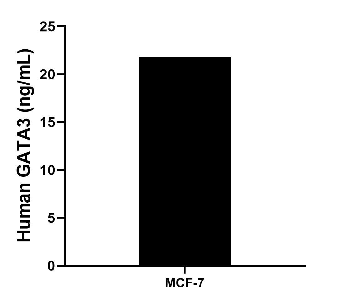 Sample test of MP01933-1