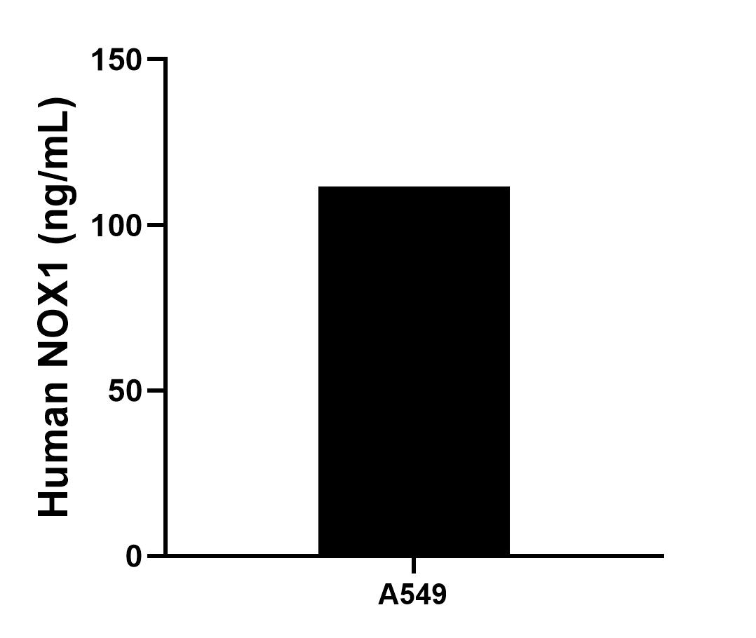 Sample test of MP01957-1