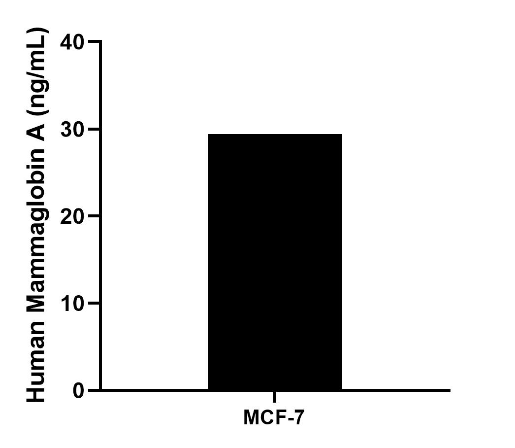 Sample test of MP02024-3