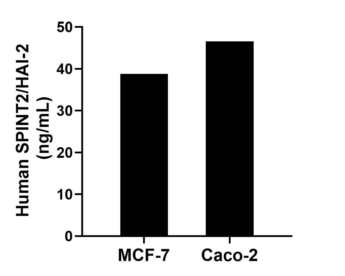 Sample test of MP02034-3