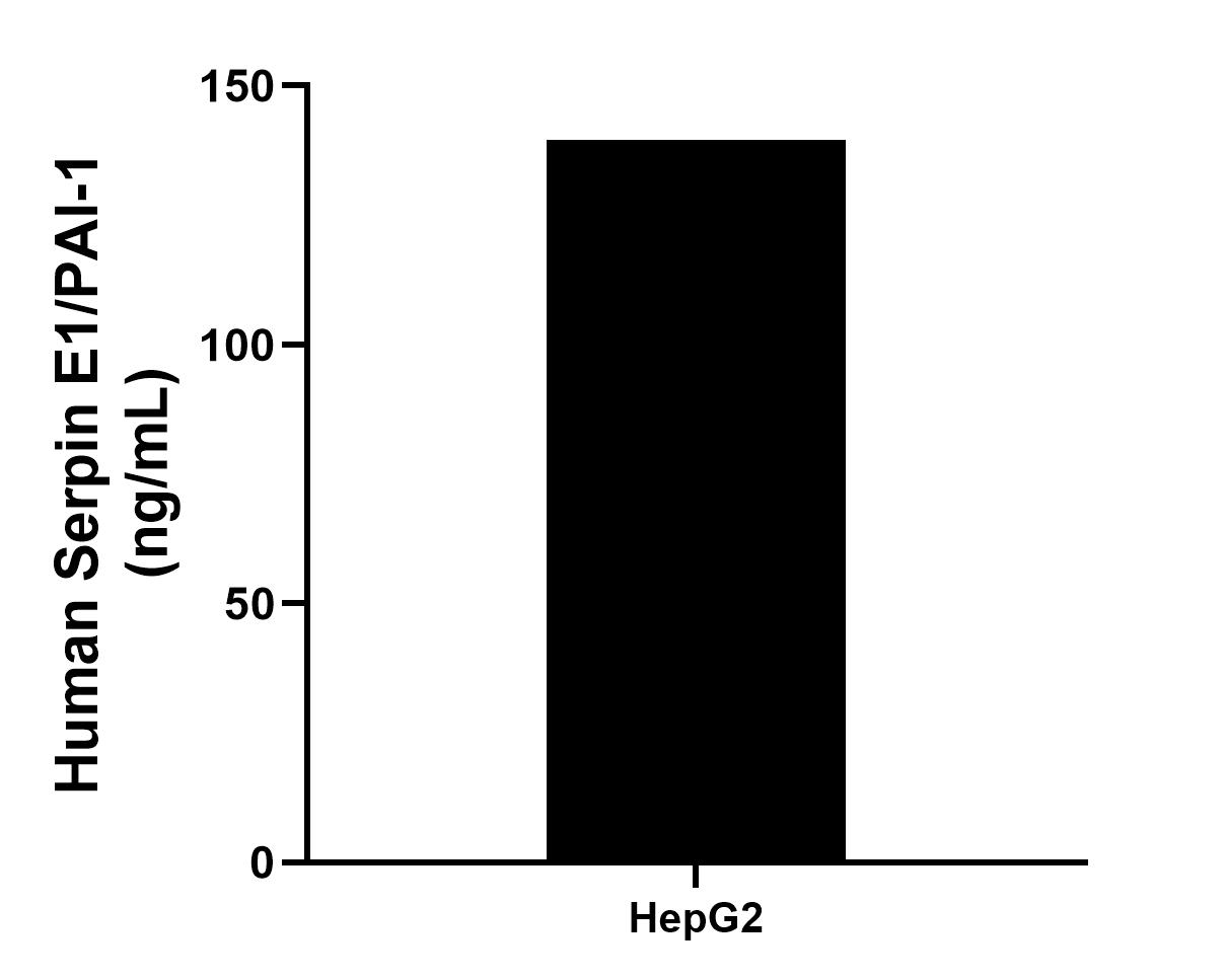 HepG2 were cultured in DMEM supplemented with 10% fetal bonive serum, 2.5 mM L-glutamine, 100 U/mL penicillin, and 100 μg/mL streptomycin sulfate. An aliquot of the cell culture supernate was removed, assayed for human Serpin E1/PAI-1, and measured 139.44 ng/mL.
