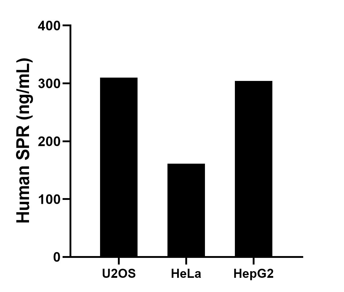 Sample test of MP02100-2
