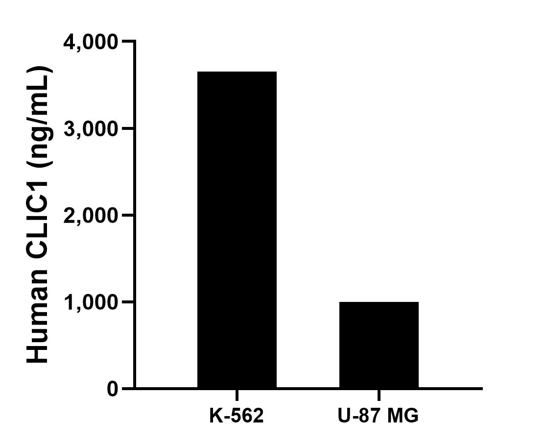 Sample test of MP02147-3
