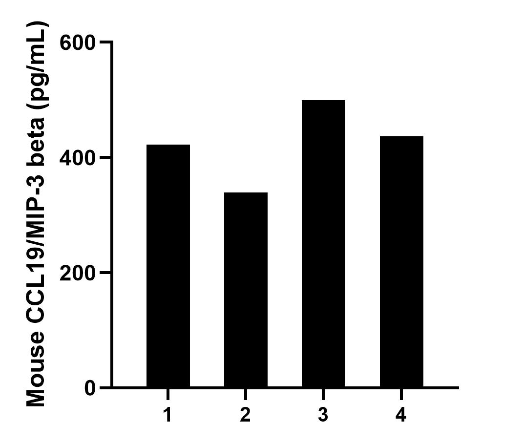 Serum of four mice was measured. The CCL19/MIP-3 beta concentration of detected samples was determined to be 424.5 pg/mL with a range of 338.8-499.6 pg/mL.