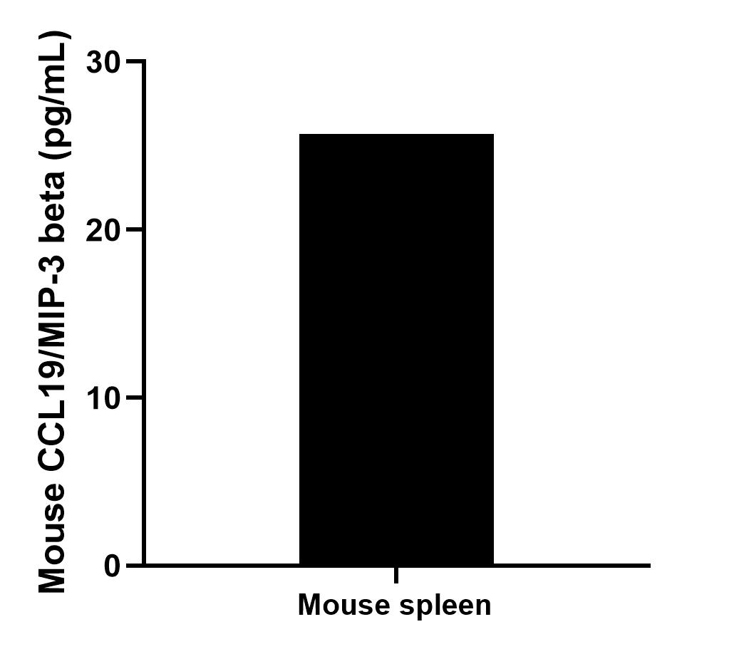 Mouse spleen tissue was removed, rinsed in 1x PBS, and kept on ice. The tissue was then homogenized using a tissue homogenizer and seeded into media containing RPMI 1640 supplemented with 10% fetal bovine serum, 2 mM L-glutamine, 100 U/mL penicillin, and 100 mg/mL streptomycin sulfate. Cells were cultured for 3 days. Aliquots of the cell culture supernatants were removed and assayed for levels of mouse CCL19/MIP-3 beta, and measured 25.7 pg/mL. 