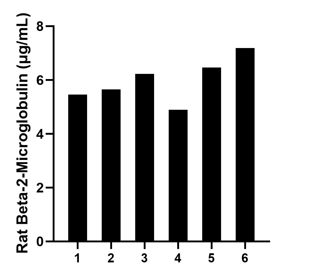 Serum of six rats was measured. The Beta-2-Microglobulin concentration of detected samples was determined to be 6.0 μg/mL with a range of 4.9-7.2 μg/mL.