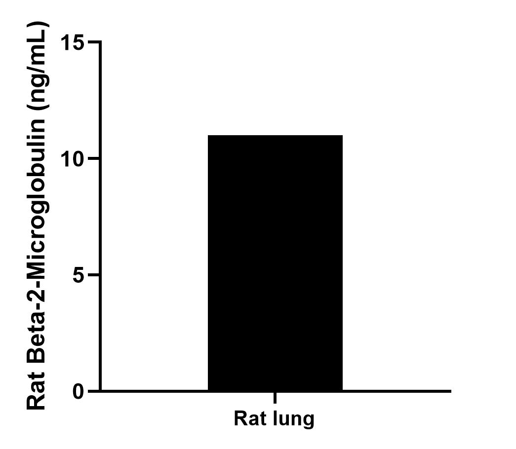 Rat lungs were rinsed with enough PBS to cover the organs and kept on ice. Tissue was homogenized with a tissue homogenizer and cultured in RPMI 1640 supplemented with 10% fetal bovine serum, 2 mM L-glutamine, 100 U/mL penicillin, and 100 mg/mL streptomycin sulfate. Aliquots of the cell culture supernatants were removed and assayed for Beta-2-Microglobulin, and measured 11.0 ng/mL.