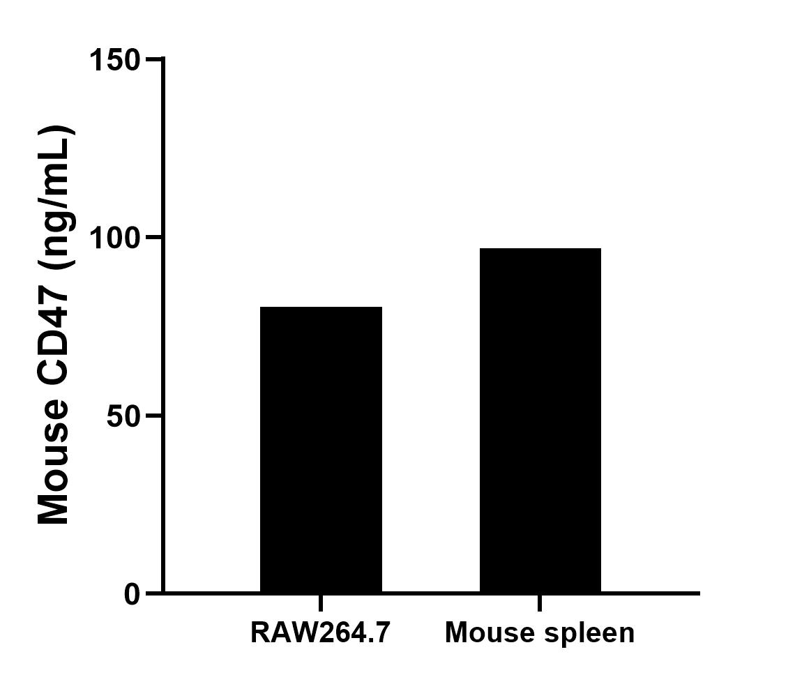 The mean CD47 concentration was determined to be 80.59 ng/mL in RAW264.7 cell extract based on a 1.3 mg/mL extract load and 96.98 ng/mL in mouse spleen tissue extract based on a 8.4 mg/mL extract load.