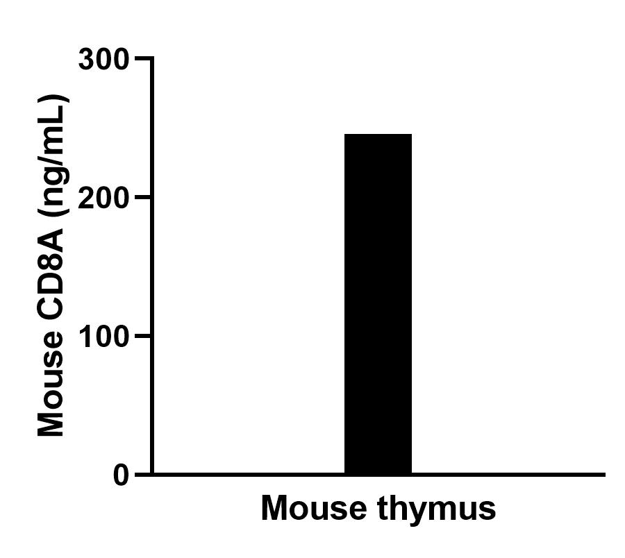 The mean CD8a concentration was determined to be 248.5 ng/mL in Mouse thymus tissue extract based on a 1.3 mg/mL extract load.