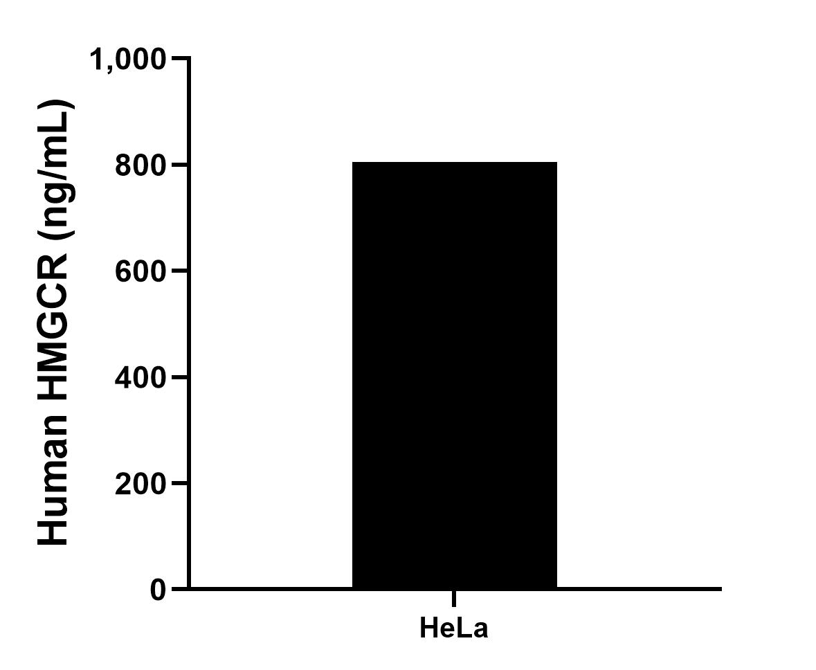 The mean HMGCR concentration was determined to be 805.26 ng/mL in HeLa cell extract based on a 3.0 mg/mL extract load.
