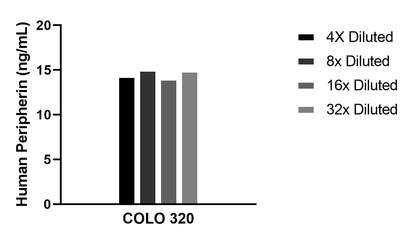 The mean Peripherin concentration was determined to be 14.5 ng/mL in COLO 320 cell extract based on a 1.5 mg/mL extract load.