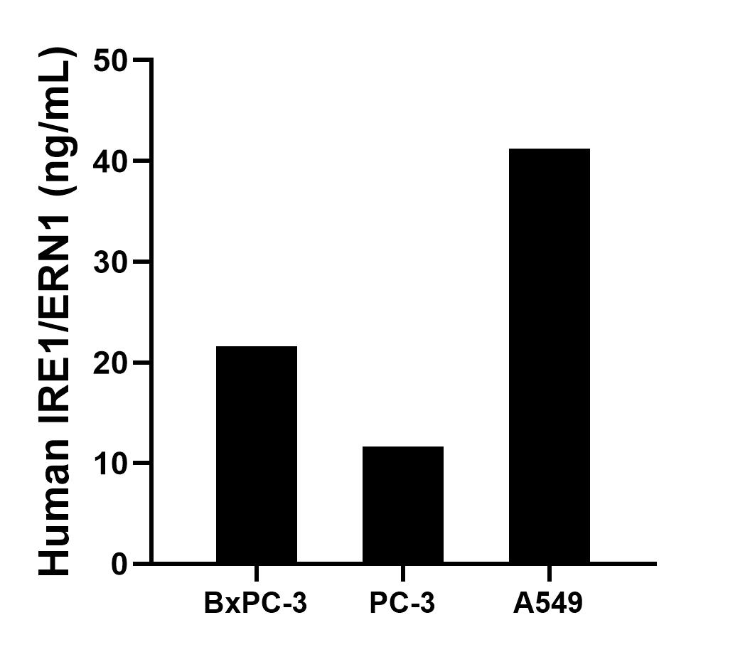 Sample test of MP02267-1