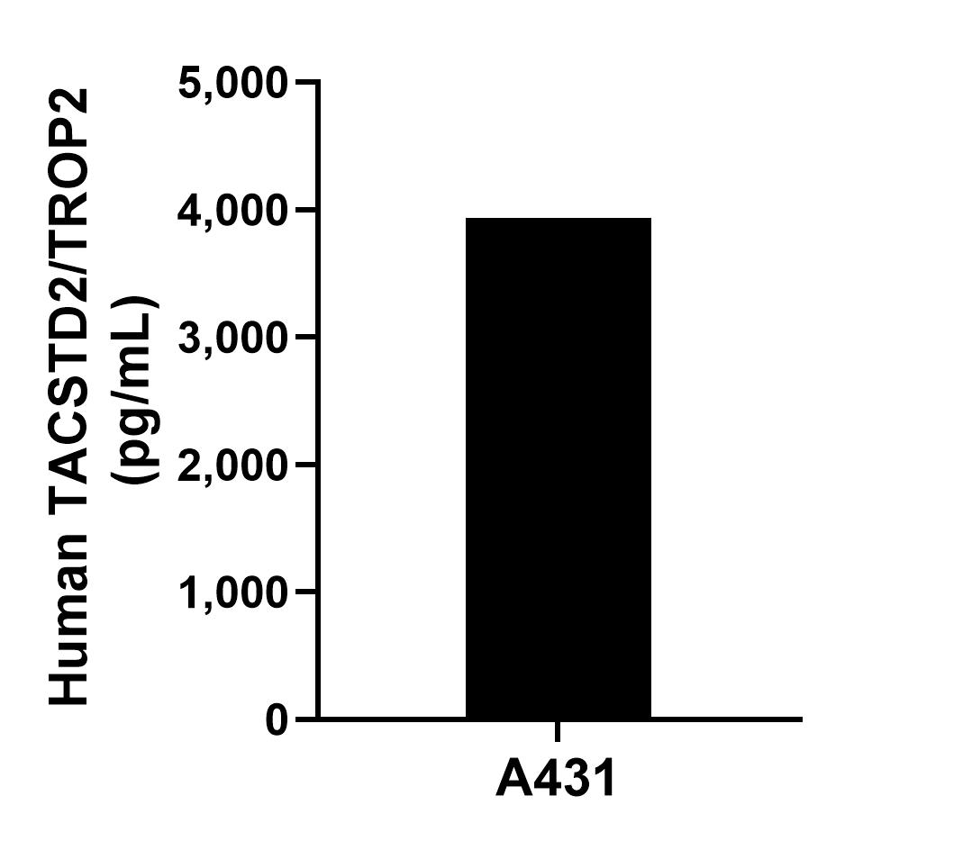 A431 were cultured in DMEM supplemented with 10% fetal bovine serum, 2.5 mM L-glutamine, 100 U/mL penicillin, and 100 μg/mL streptomycin sulfate. An aliquot of the cell culture supernate was removed, assayed for human TACSTD2/TROP2, and measured 3,934.4 pg/mL.