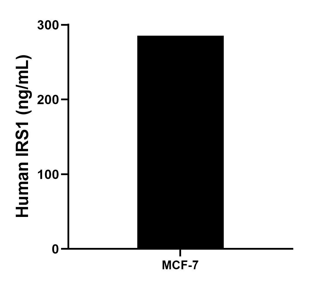 The mean IRS1 concentration was determined to be 285.15 ng/mL in MCF-7 cell extract based on a 1.3 mg/mL extract load.